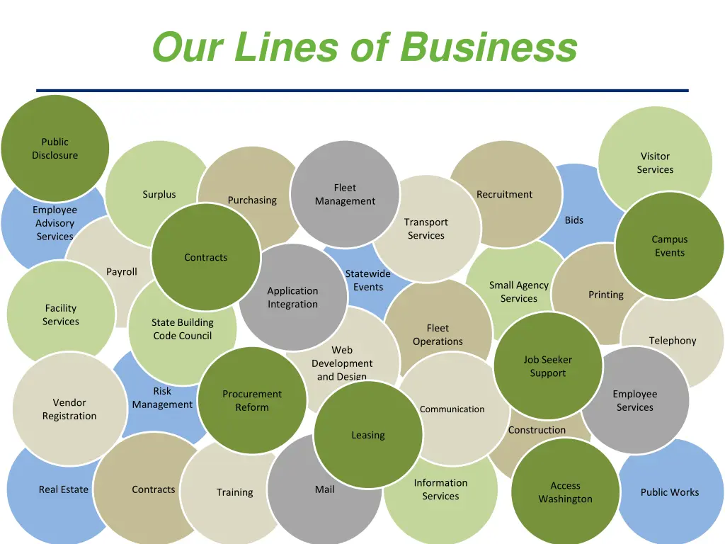 our lines of business