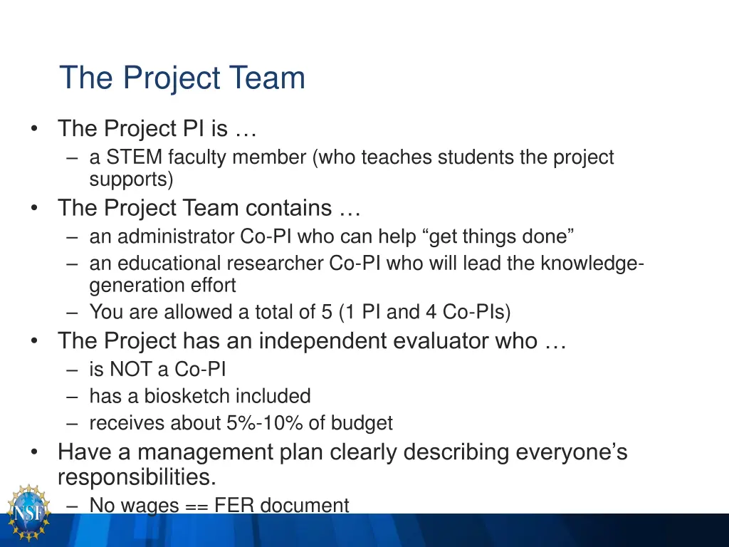 the project team
