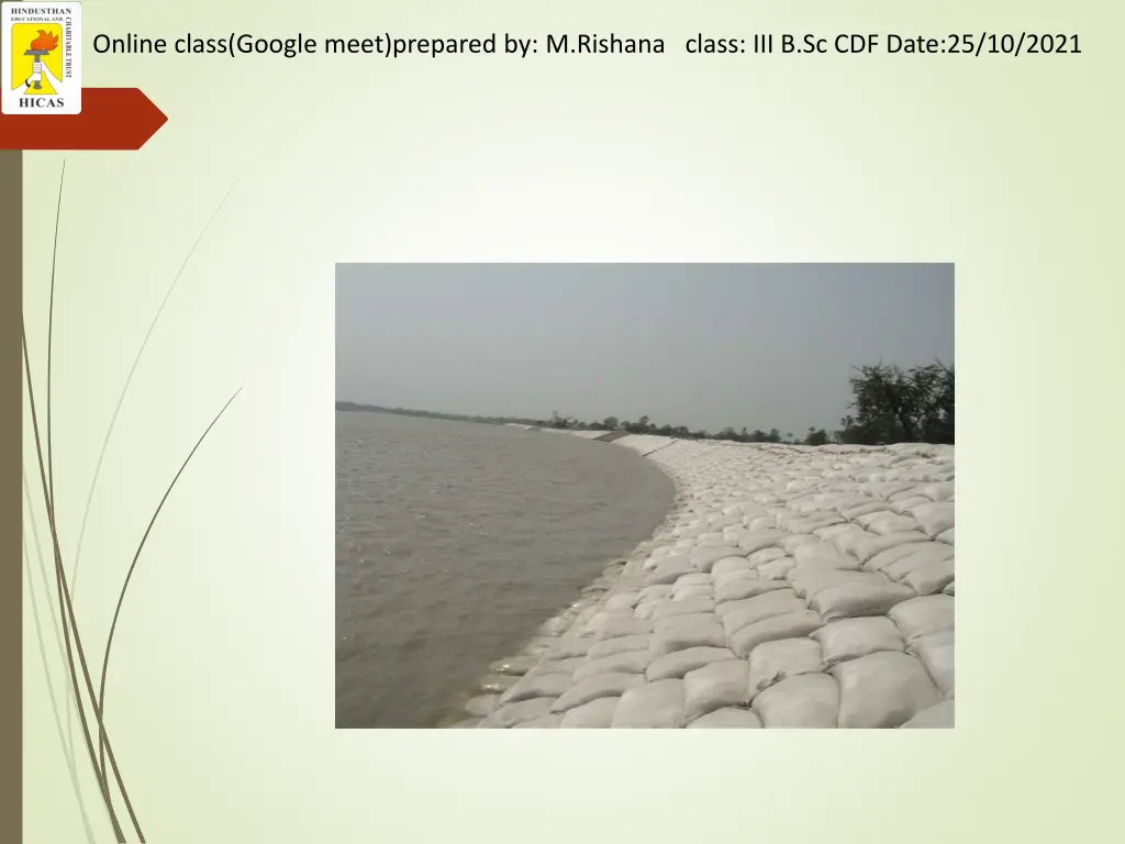 online class google meet prepared by m rishana 13