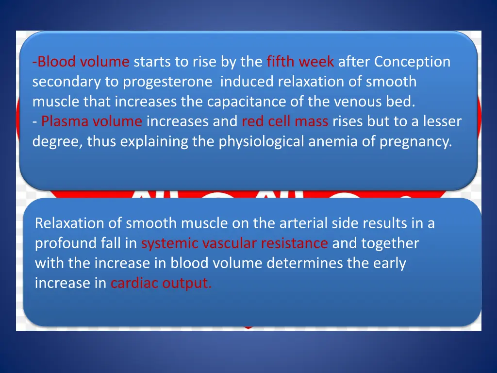 blood volume starts to rise by the fifth week