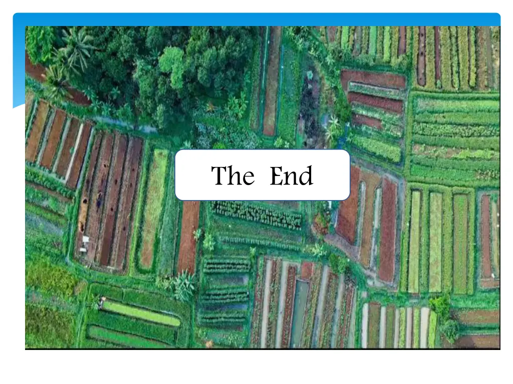 the end