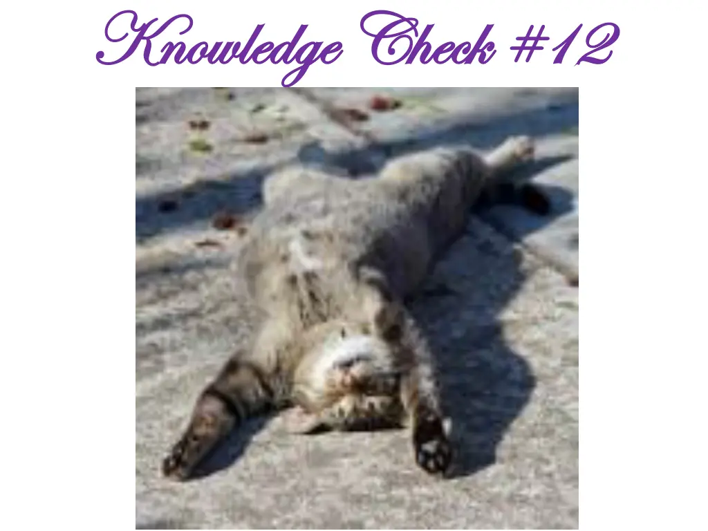 knowledge check 12 knowledge check 12