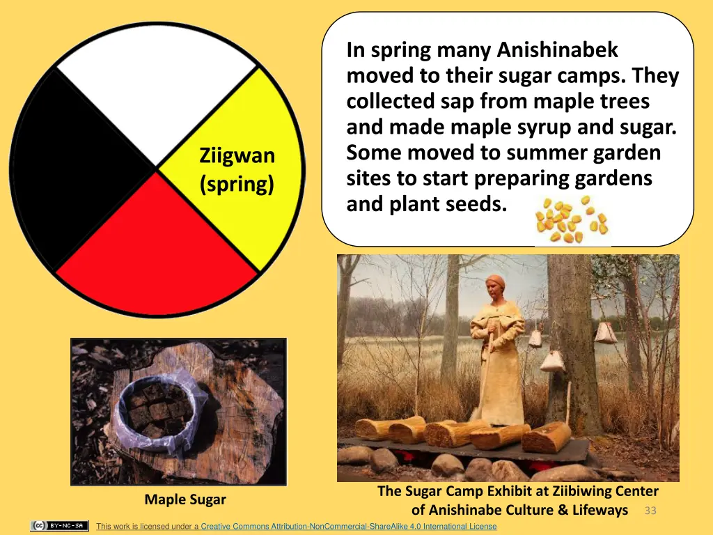 in spring many anishinabek moved to their sugar