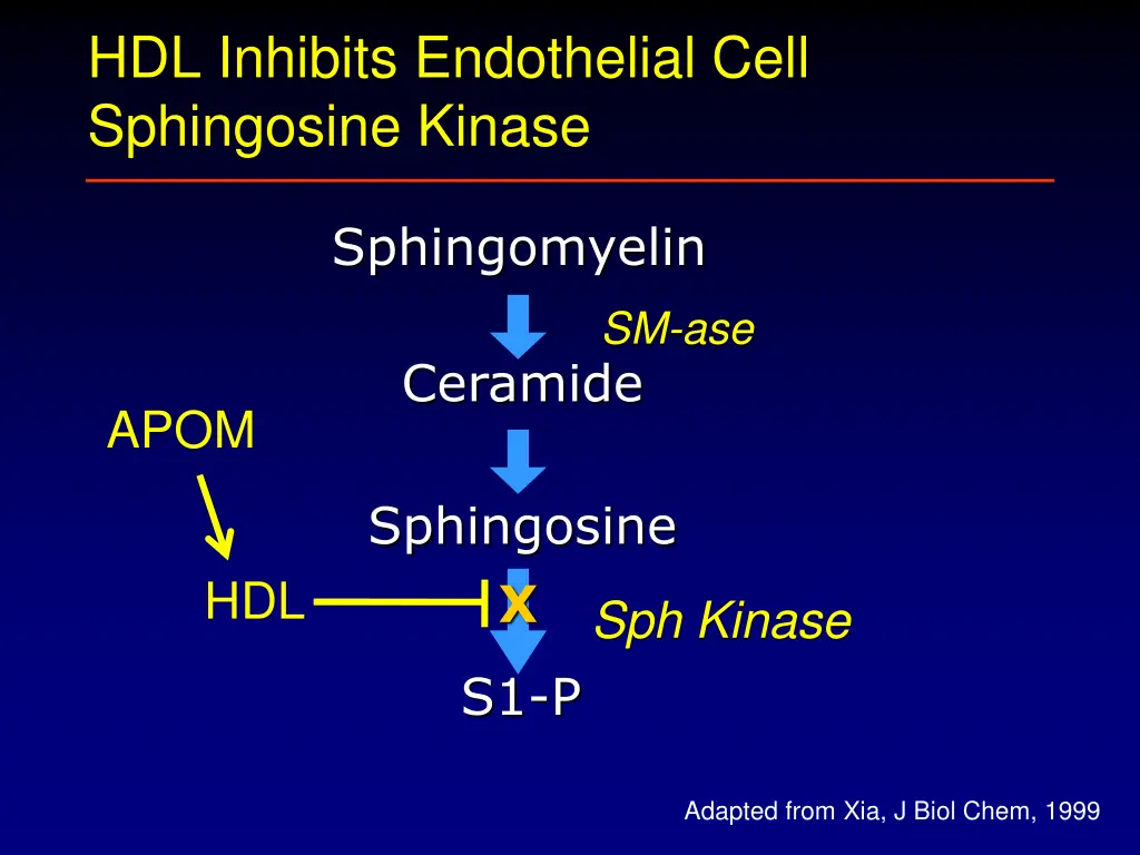 hdl inhibits endothelial cell sphingosine kinase