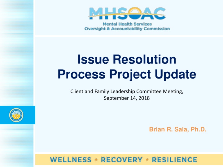 issue resolution process project update