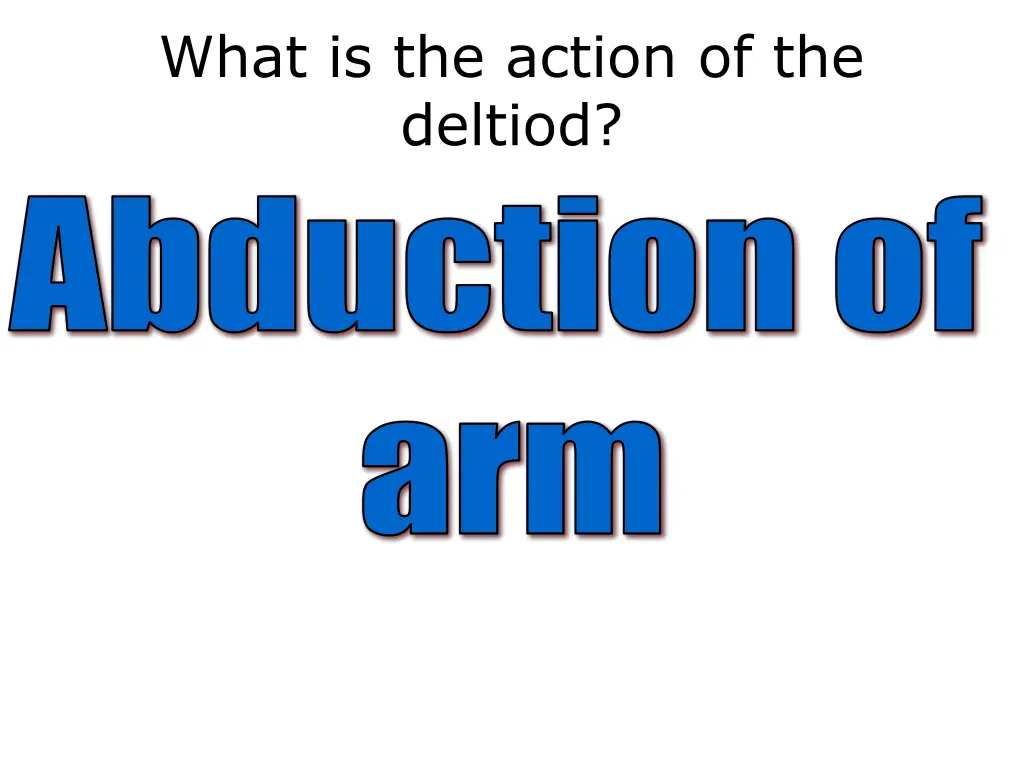 what is the action of the deltiod