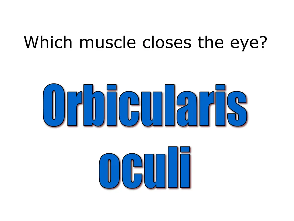 which muscle closes the eye