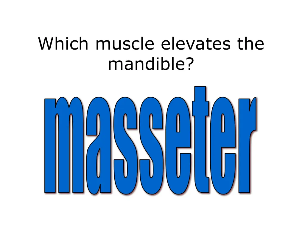 which muscle elevates the mandible