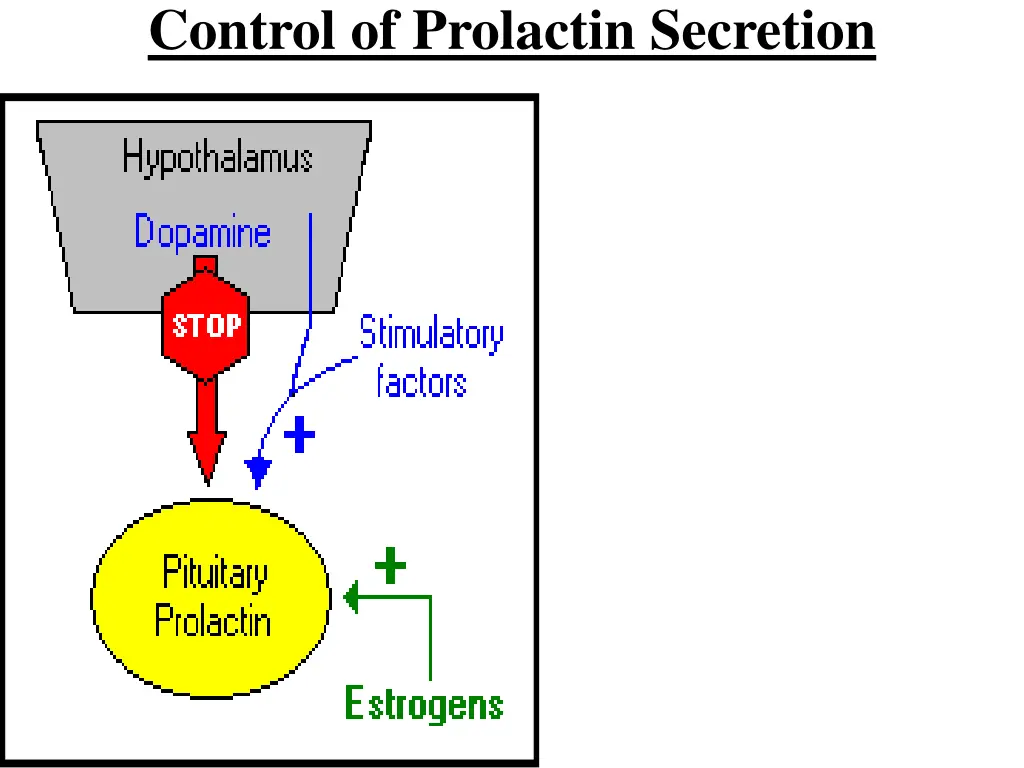 control of prolactin secretion