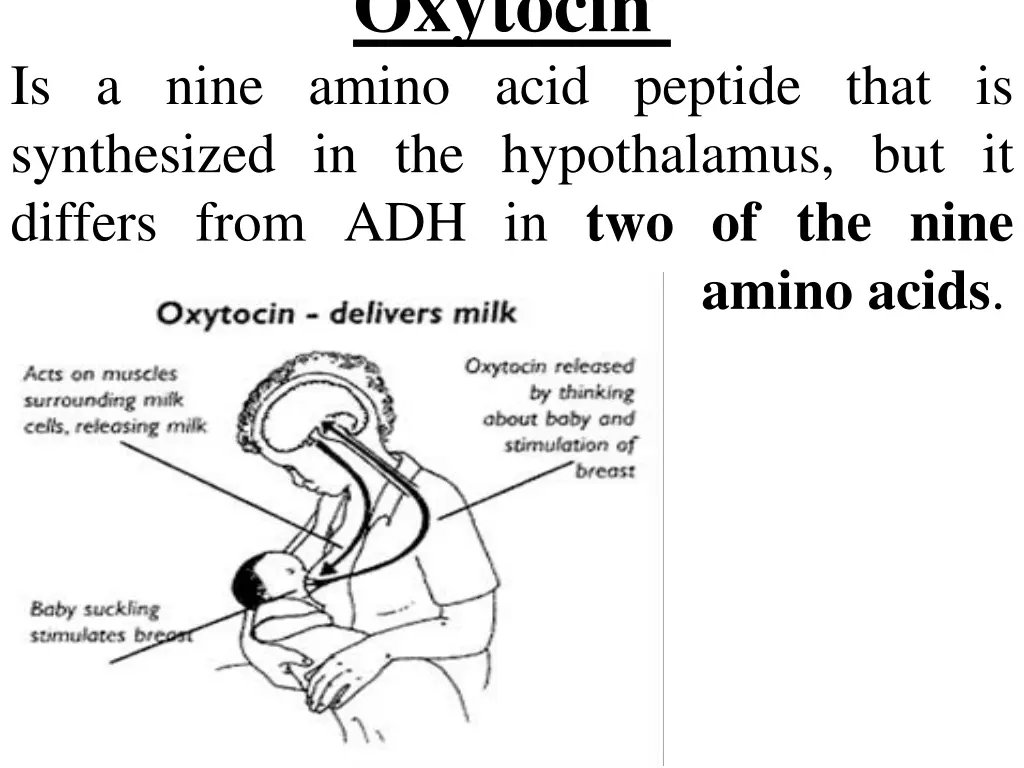 oxytocin