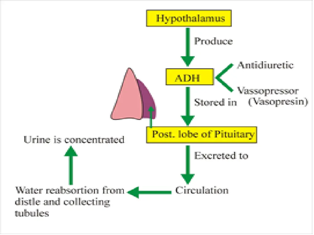 slide12