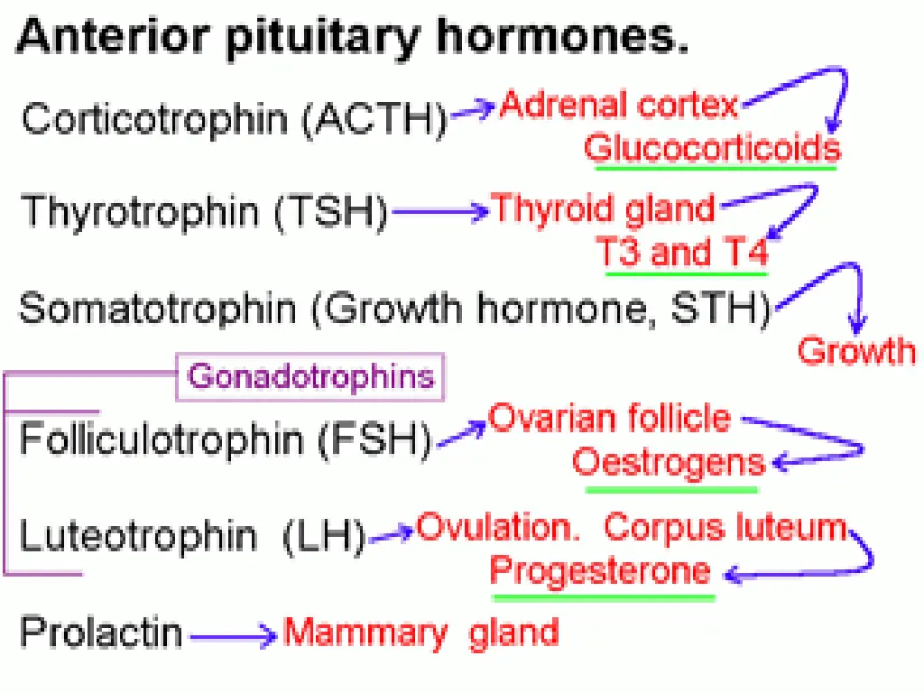 slide19