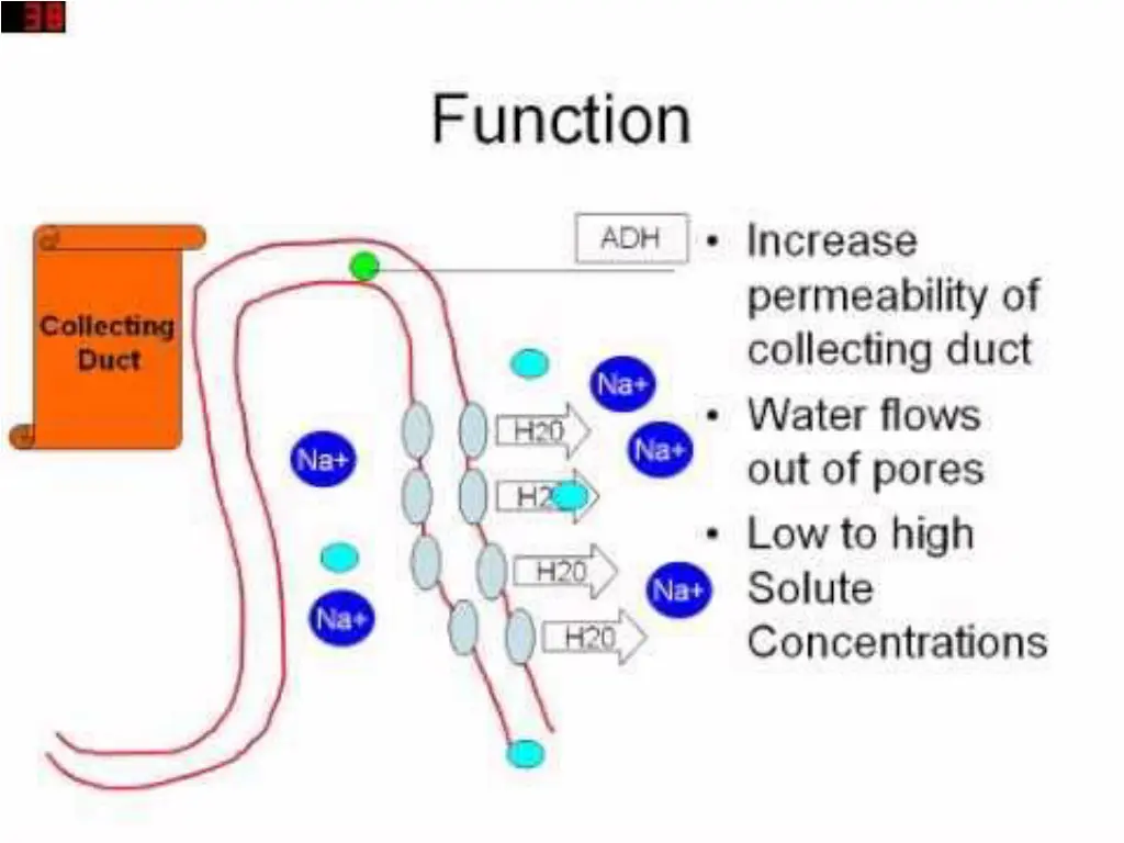 slide7