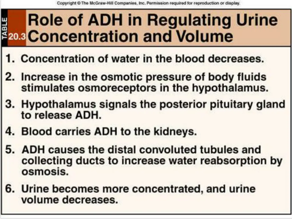 slide8