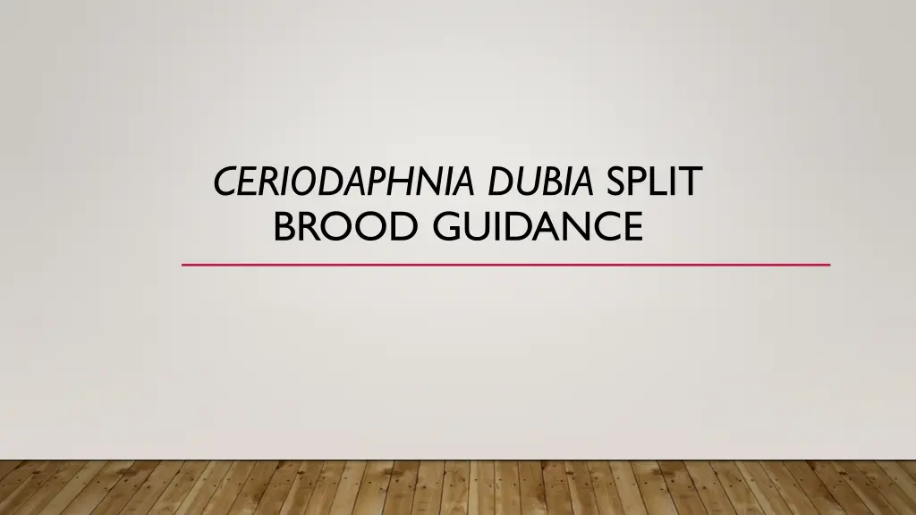 ceriodaphnia dubia split brood guidance