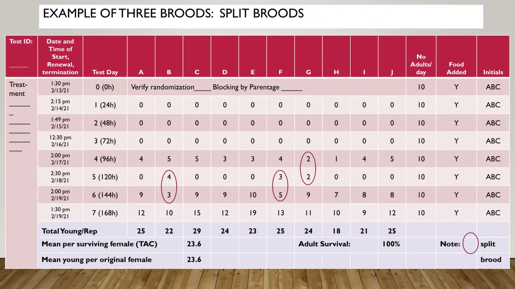 example of three broods split broods