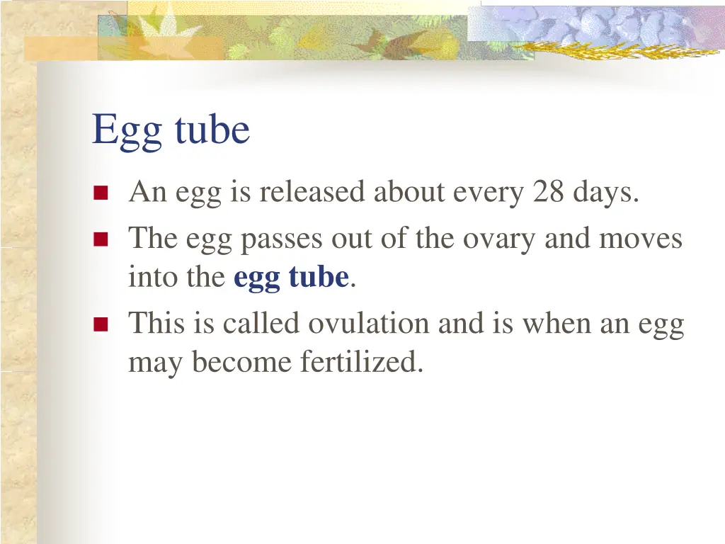 egg tube