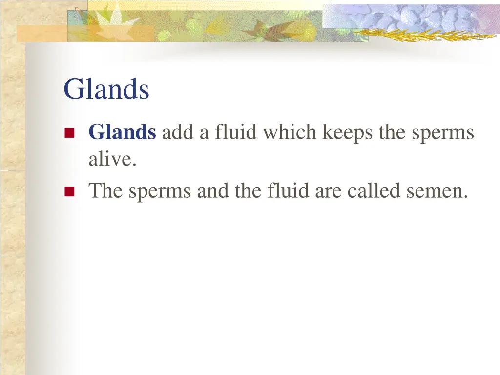 glands