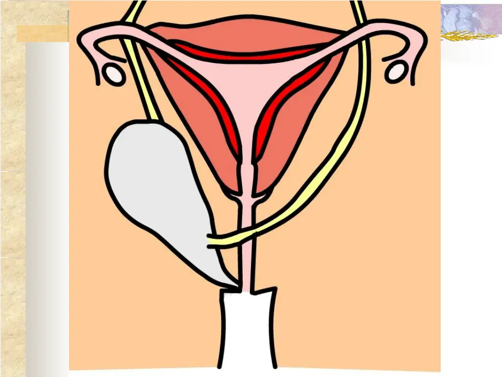 slide16