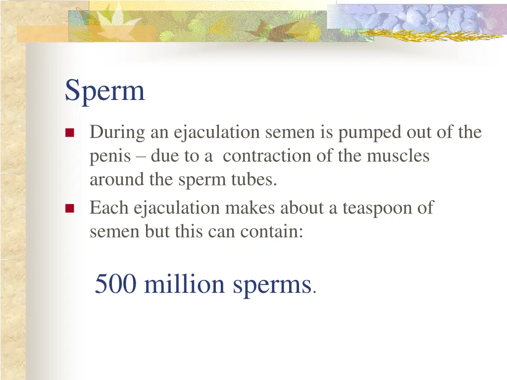 sperm