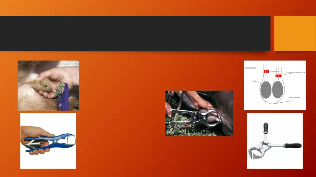 slide6