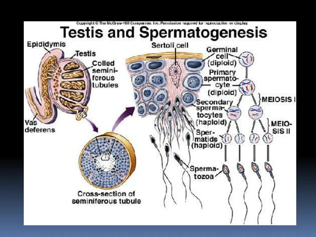 slide6