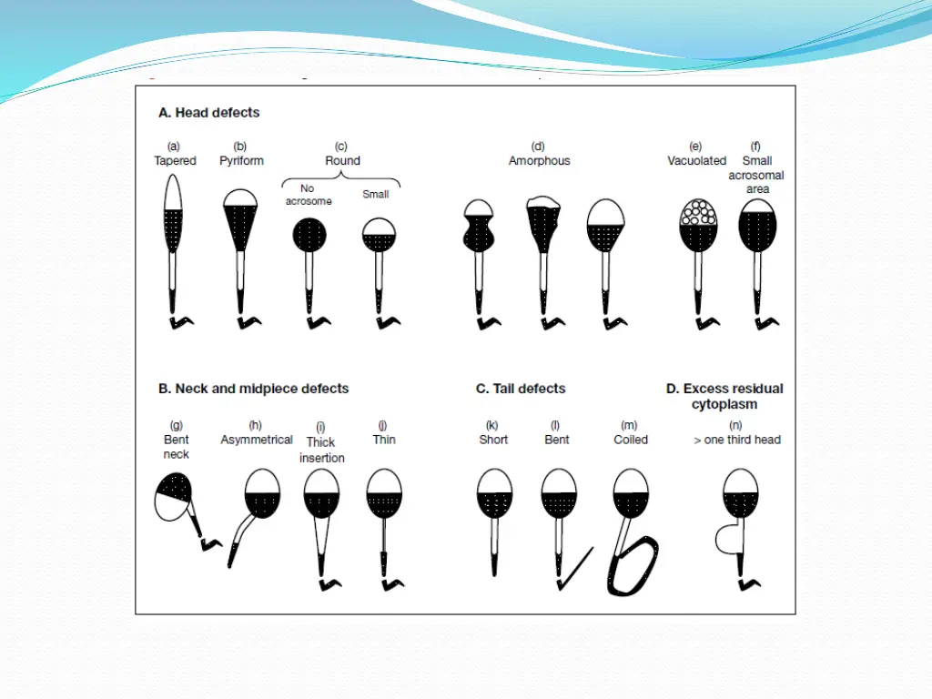 slide17