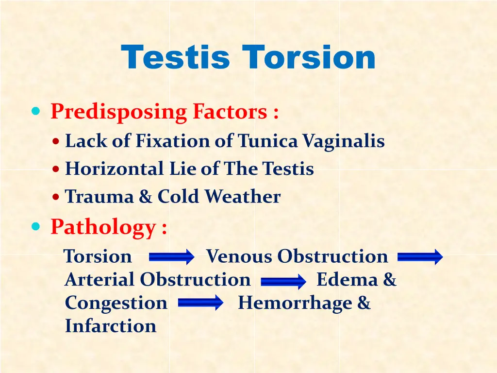 testis torsion 3