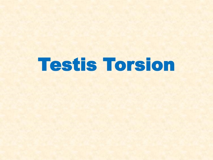 testis torsion testis torsion