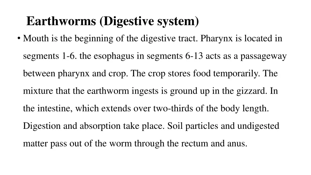 earthworms digestive system mouth