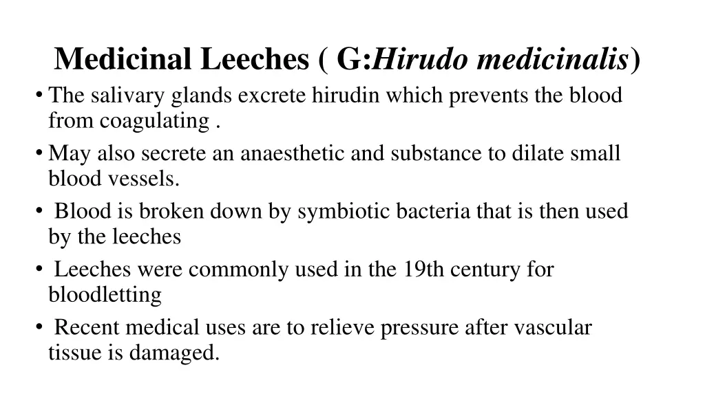medicinal leeches g hirudo medicinalis