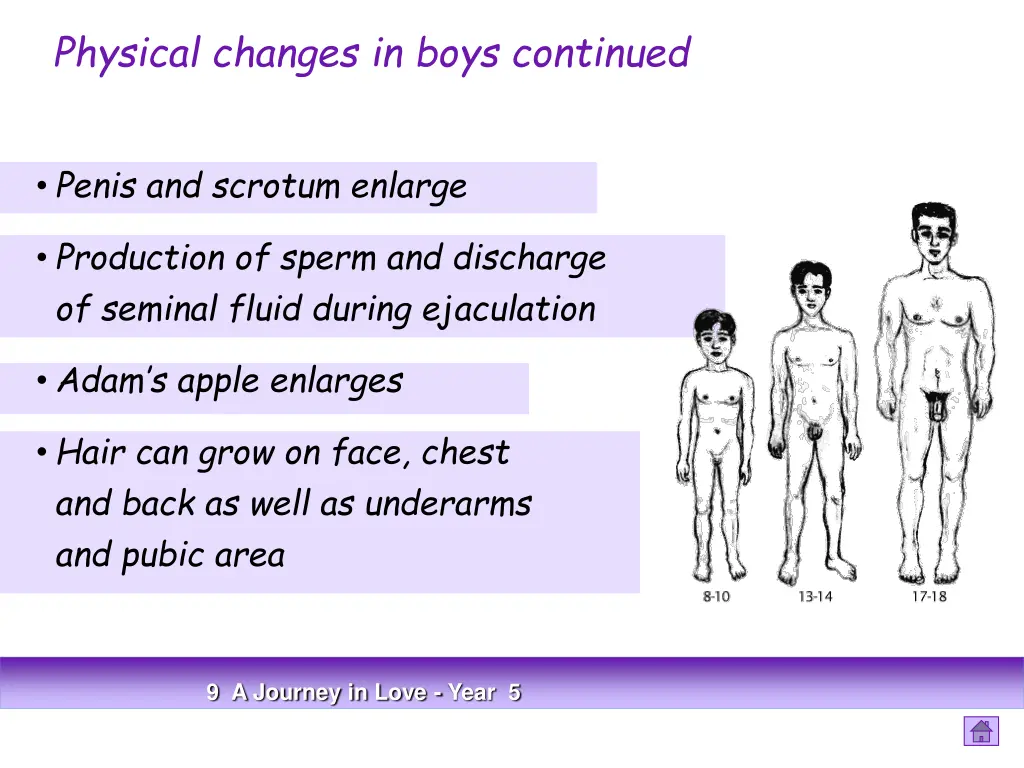 physical changes in boys continued