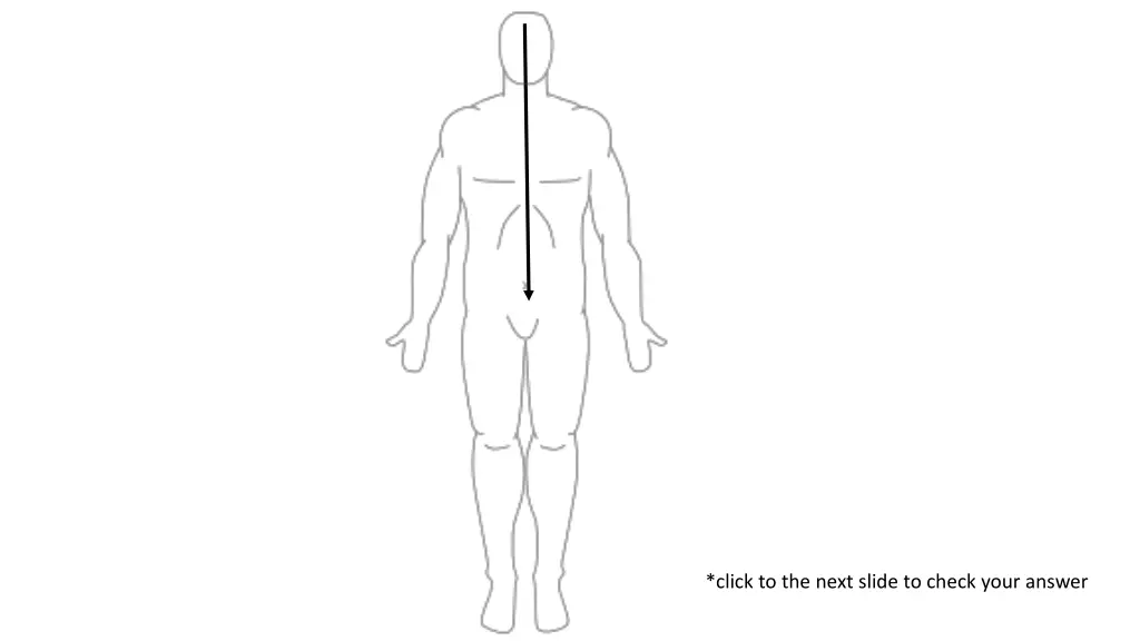 click to the next slide to check your answer 3
