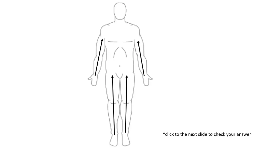 click to the next slide to check your answer 4