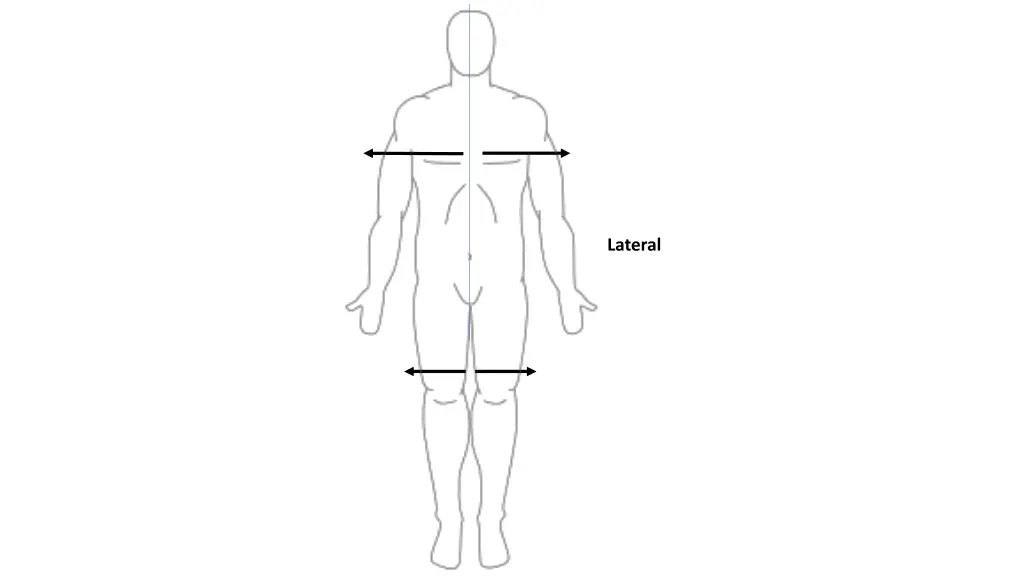 lateral