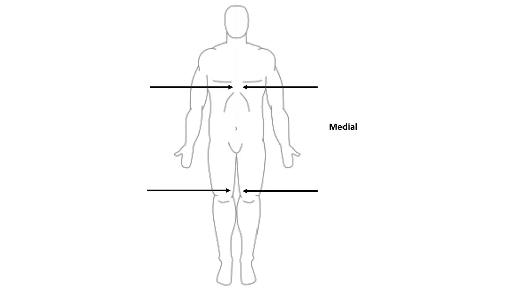 medial