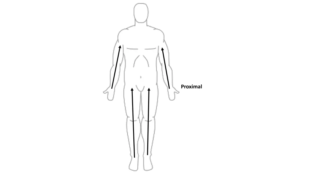proximal