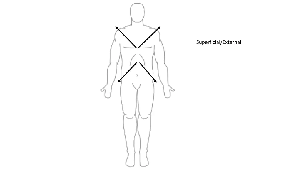 superficial external