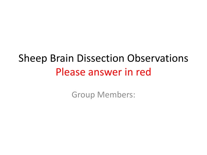 sheep brain dissection observations please answer