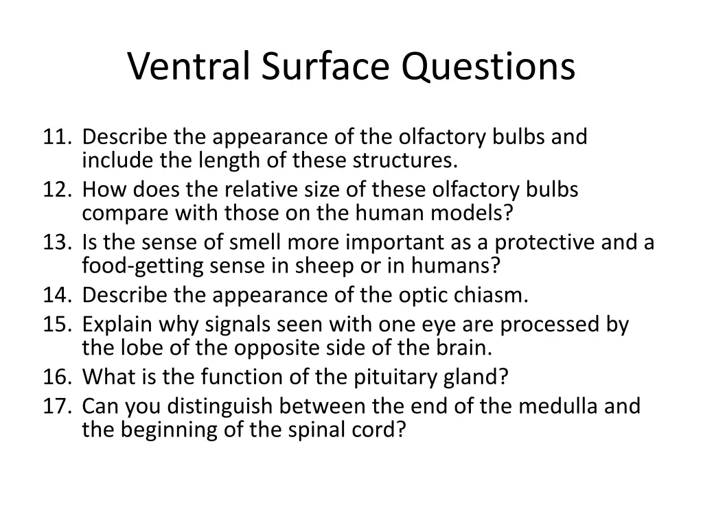 ventral surface questions