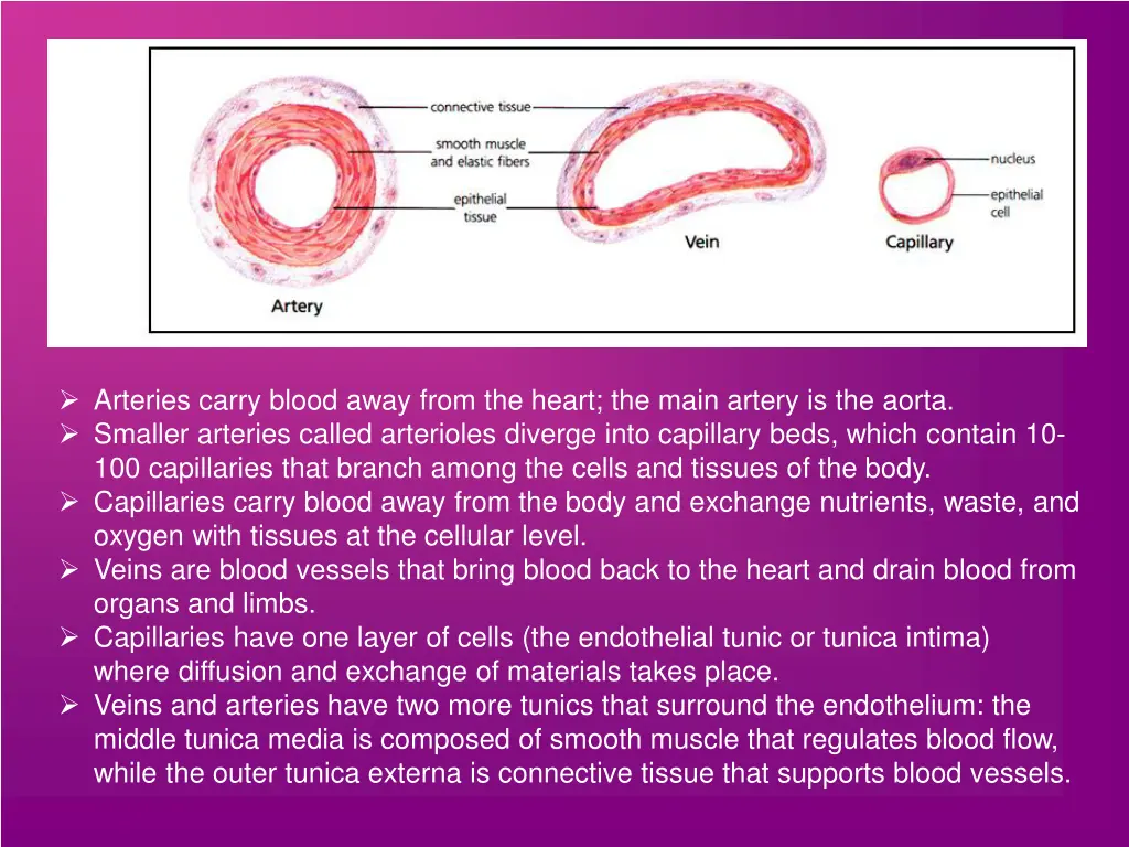 arteries carry blood away from the heart the main