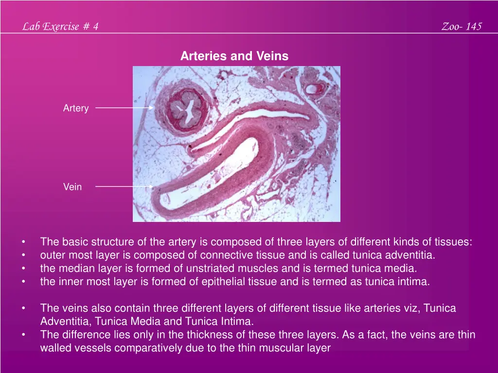 lab exercise 4 2