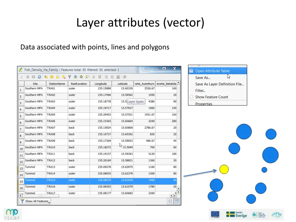 layer attributes vector