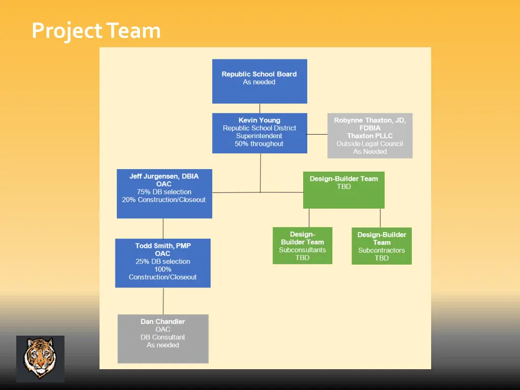 project team
