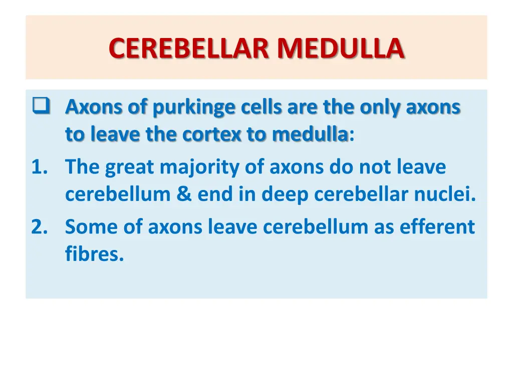 cerebellar medulla 1