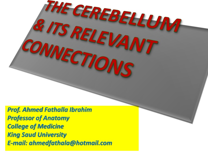 prof ahmed fathalla ibrahim professor of anatomy
