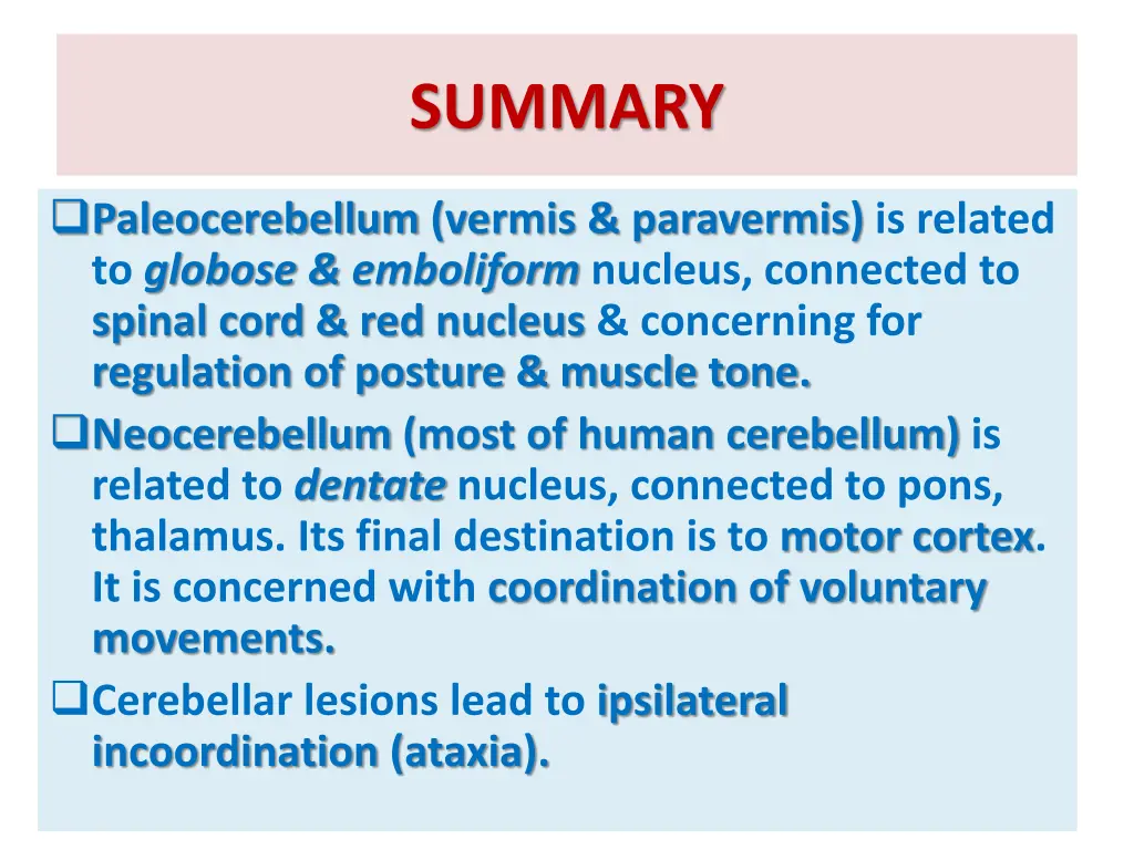 summary 1