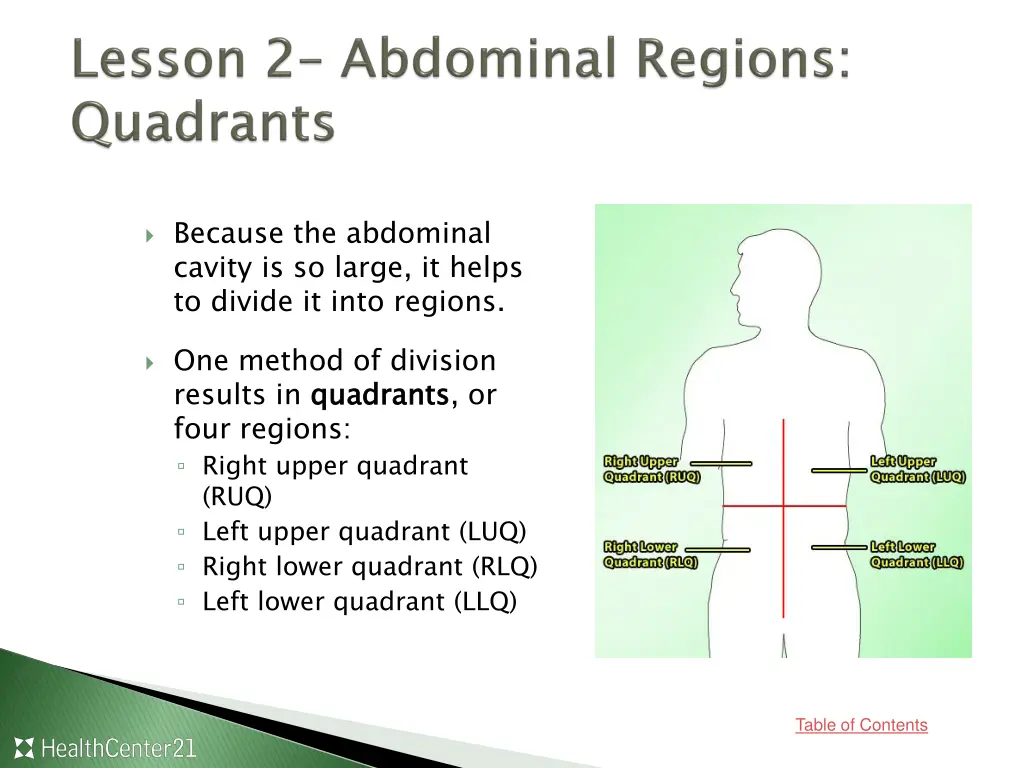 because the abdominal cavity is so large it helps