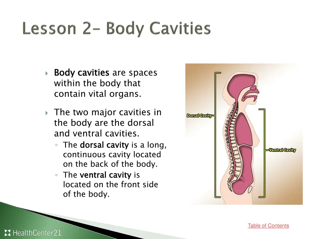 body cavities within the body that contain vital
