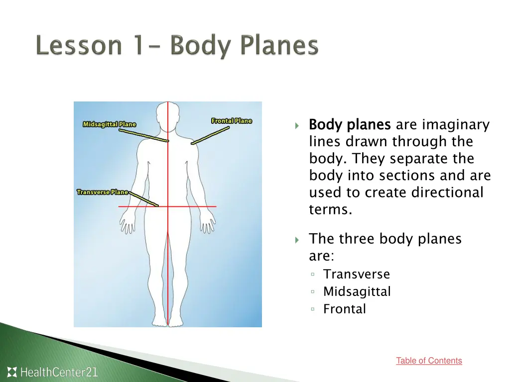 body planes lines drawn through the body they